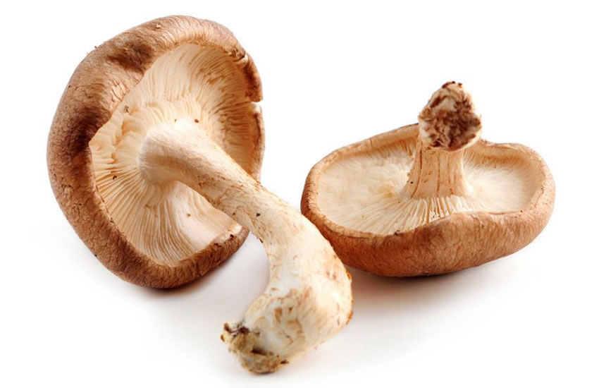 انواع قارچ خوراکی - شیتاکه