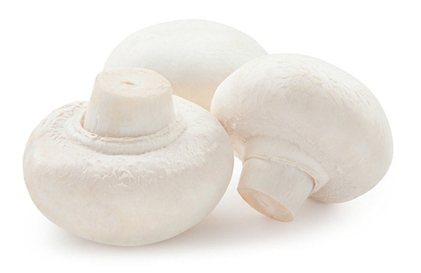 انواع قارچ خوراکی - فارچ دکمه‌ای سفید