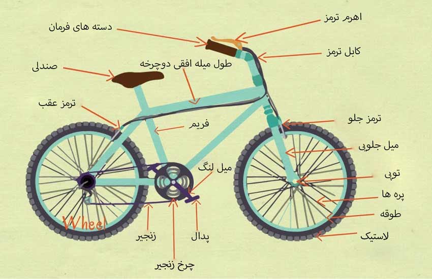 راهنمای خرید دوچرخه، آناتومی