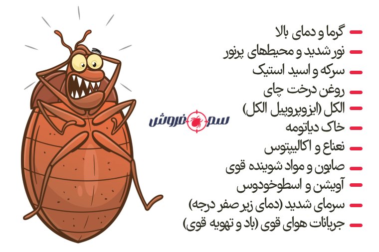 ساس از چی بدش میاد؟ 11 چیزی که ساس از آنها متنفر است