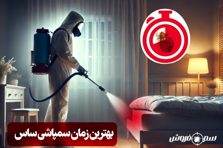 بهترین زمان سمپاشی ساس