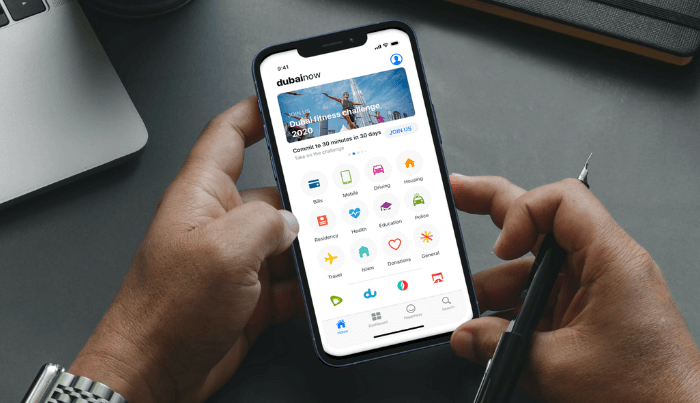 اپ خدمات دولتی در دبی DubaiNow