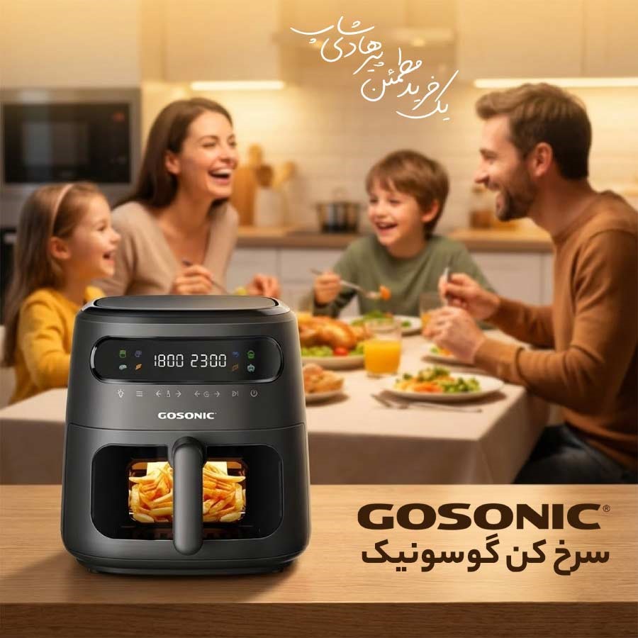 سرخ کن رژیمی گوسونیک - پیرهادی شاپ